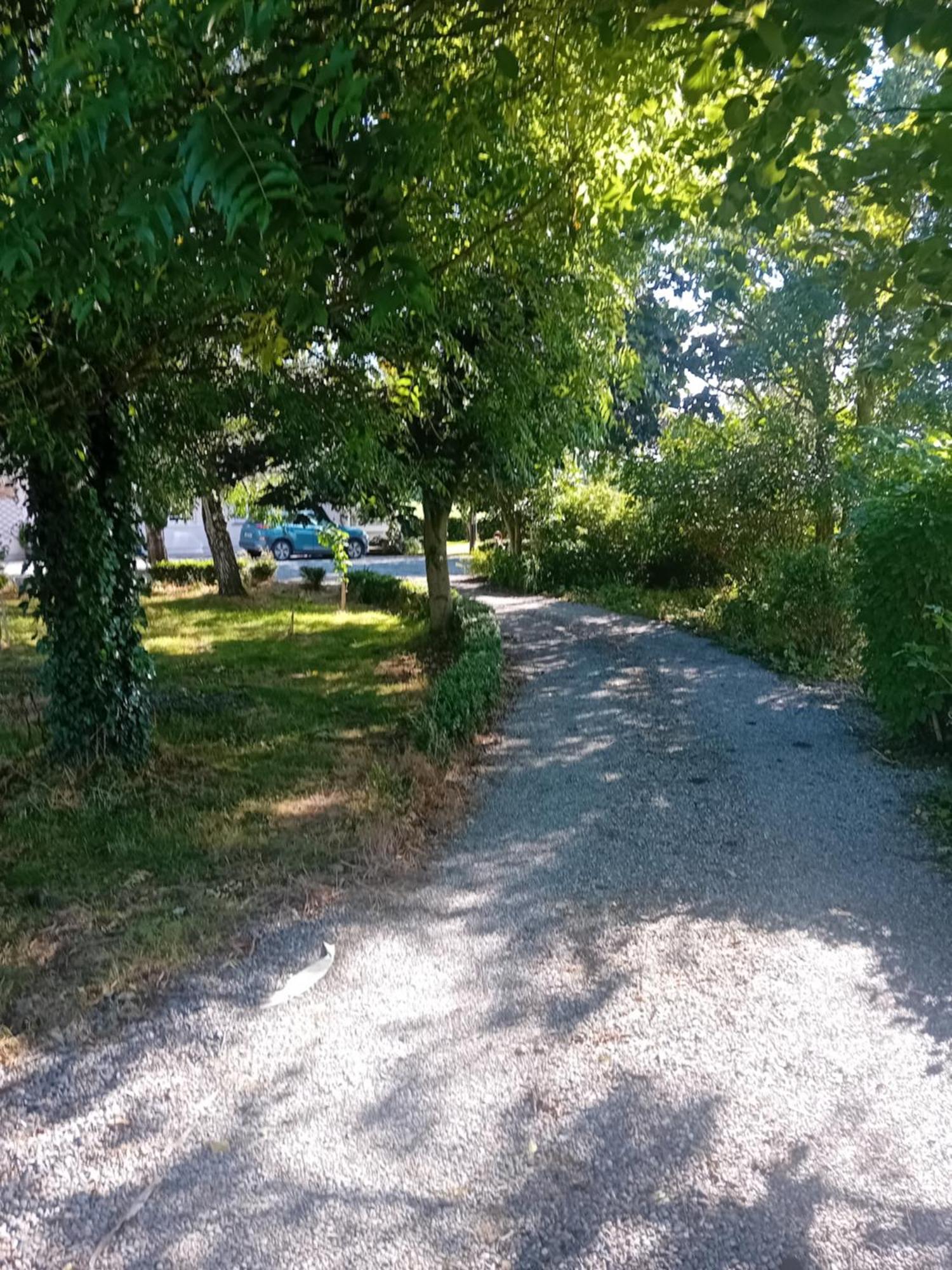 Annaswood B&B Cahir Exterior foto