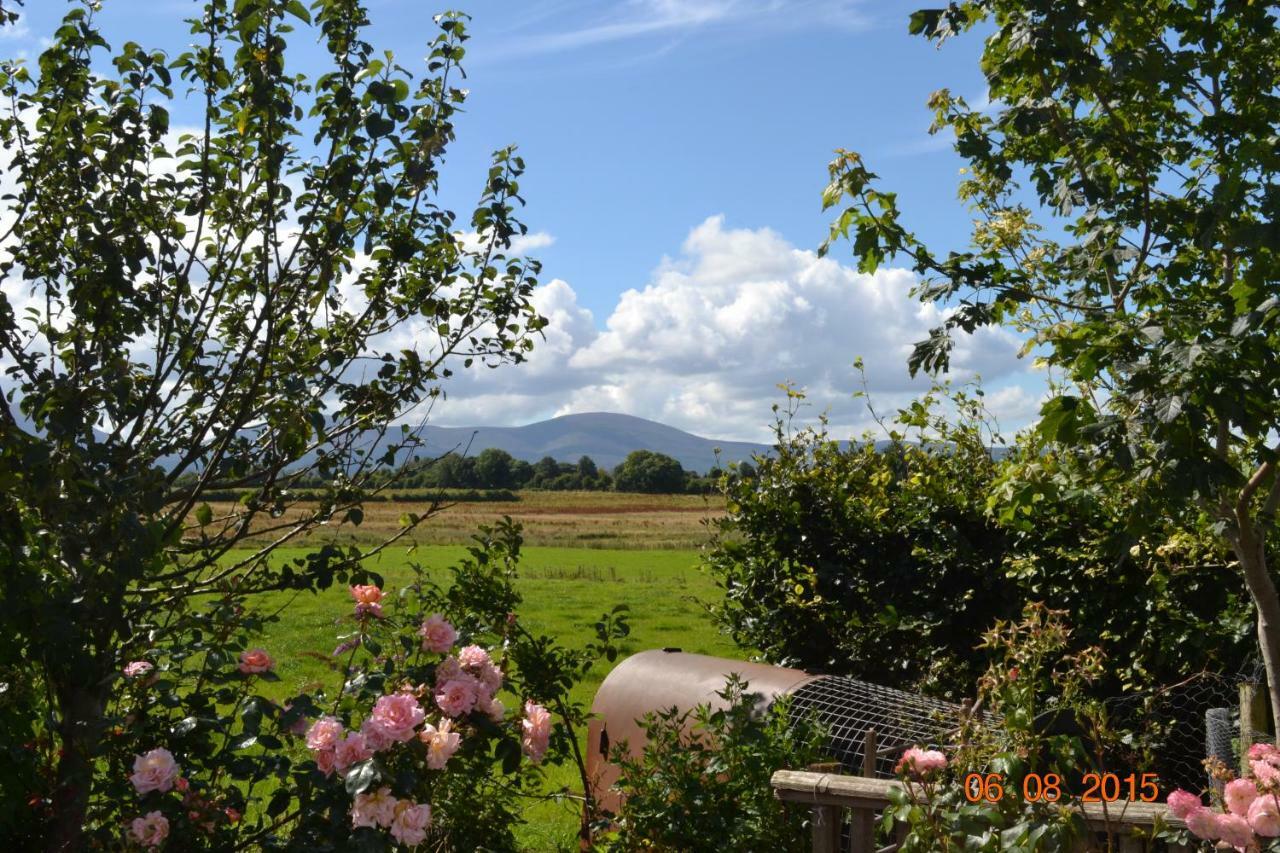 Annaswood B&B Cahir Exterior foto