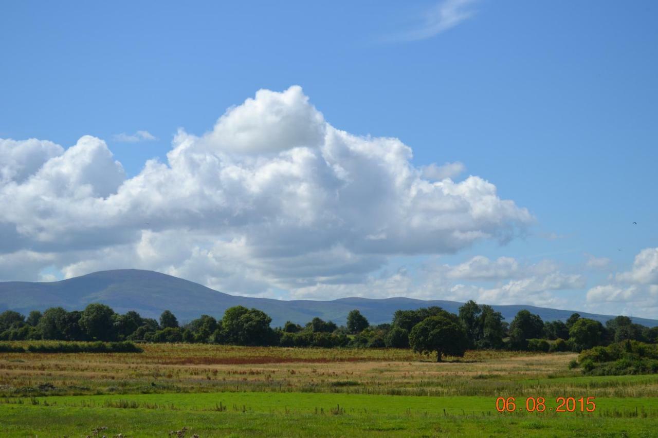 Annaswood B&B Cahir Exterior foto