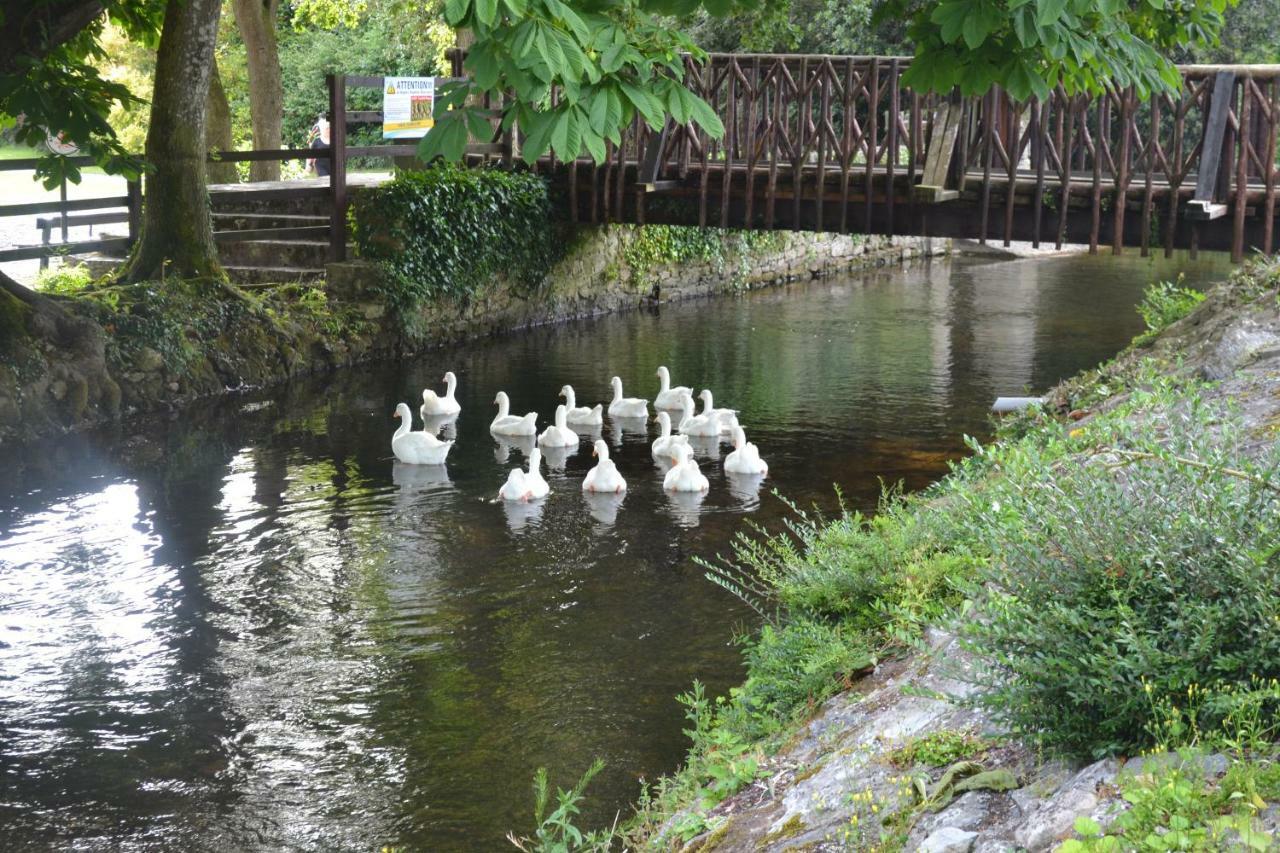 Annaswood B&B Cahir Exterior foto