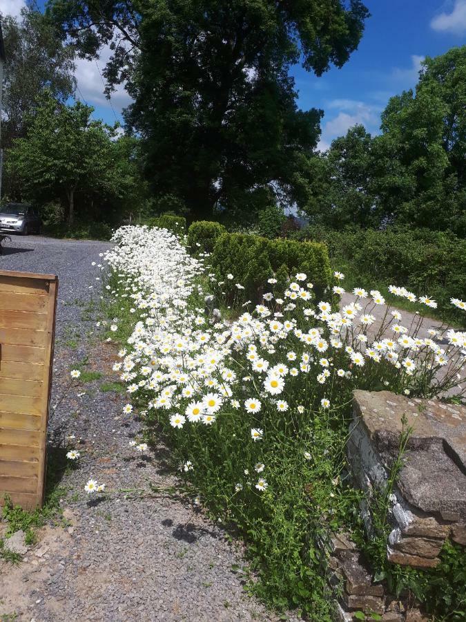 Annaswood B&B Cahir Exterior foto