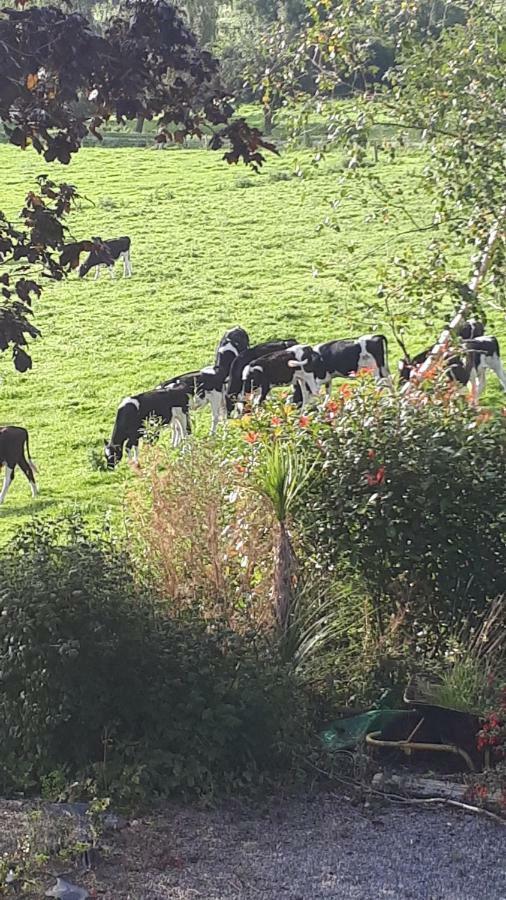 Annaswood B&B Cahir Exterior foto