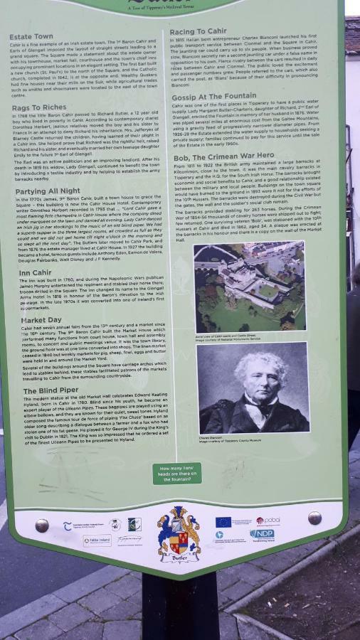 Annaswood B&B Cahir Exterior foto